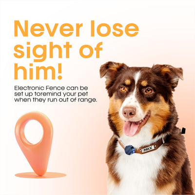 🔥 Mini Magnetic GPS Tracker